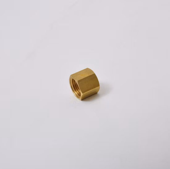 Hex Nut, Cap Nut, Brass Female BSPP Swivel Nuts/Acorn Nuts/Brass Nuts/Pickling Nuts/Pipe Thread, Factory Supply G/NPT/BSPT/ BSPP Thread Nut